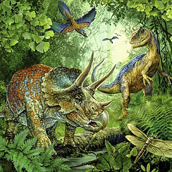 Avis Ravensburger puzzle enfant dinosaures 3x49 pièces