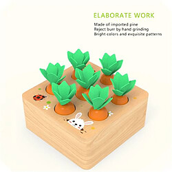 Acheter Redmiter puzzle éducatif en bois carottes