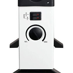 Acheter Briebe Convecteur à air chaud blanc