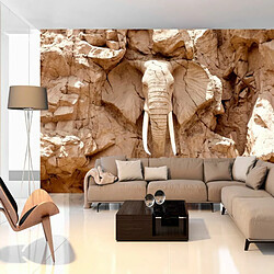 Paris Prix Papier Peint Stone Elephant South Africa 210 x 300 cm Papier peint intissé - 110 g/m² - Haute résolution 600 dpi - Résistant eau et saleté - Montage facile