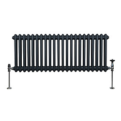 Monstershop Radiateur Traditionnel Double Colonne Anthracite