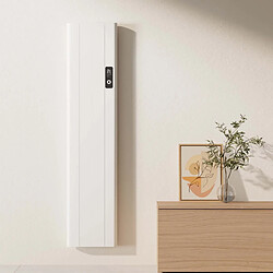 Emke 1000 W