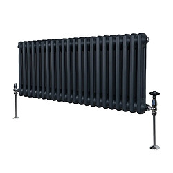 Monstershop Radiateur Traditionnel Double Colonne Anthracite