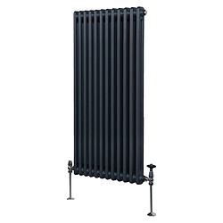 Monstershop Radiateur Trad. à Double Colonne - Gris Anthracite