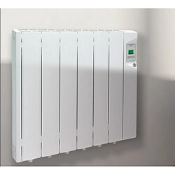 Radiateur à inertie