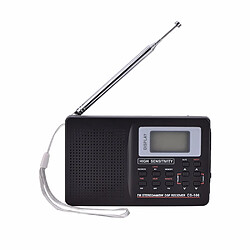 Radio portative AM/FM multis bandes - Noir