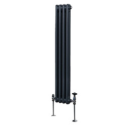 Monstershop Radiateur Traditionnel Double Colonne 1500x202 Gris Anthracite