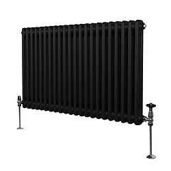 Monstershop Radiateur Traditionnel Double Colonne Noir