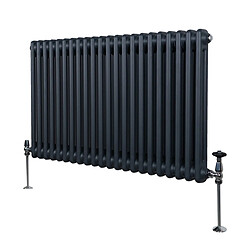 Monstershop Radiateur Traditionnel Double Colonne