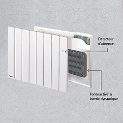 Radiateur à inertie