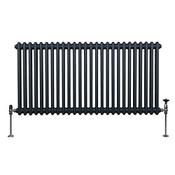 Monstershop Radiateur Traditionnel à Double Colonne - Gris Anthracite