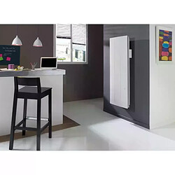 Atlantic Oniris Pi - 1500 W