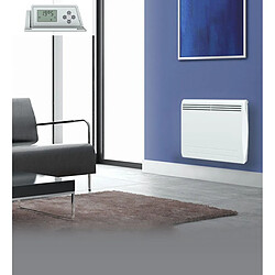 Acheter Carrera Nata - 1000W