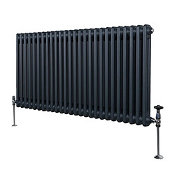 Monstershop Radiateur Traditionnel à Double Colonne - Gris Anthracite
