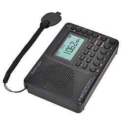 Avis Radio professionnelle HRD 603