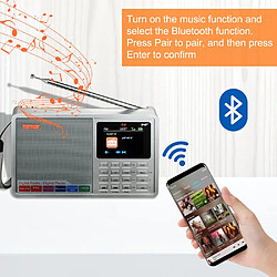 Radio numérique DAB+ FM stéréo - Argent