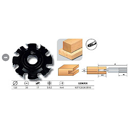Rainureuse, tourillonneuse & fraiseuse Leman