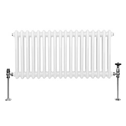 Monstershop Radiateur Traditionnel Double Colonne Blanc