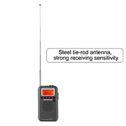 Radio portable HRD-737 pas cher