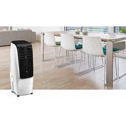 TROTEC Rafraîchisseur d'air PAE 51 Refroidisseur d'air - 600 m³/h - Grand format - 4 vitesses - Ventilation oscillante