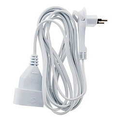 Zenitech Prolongateur électrique sans terre - 3 m