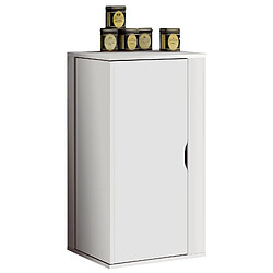 Pegane - Blanc brillant