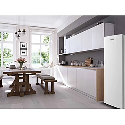 Avis Frigelux RA235XE - Inox
