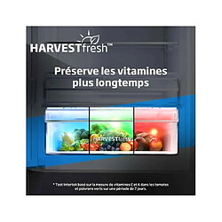 Acheter Beko GN163241DXBRN - Noir