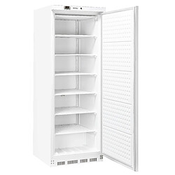 Casselin CAN400LB Armoire négative professionnelle - Froid statique - Dégivrage manuel - Thermostat digital - Porte réversible - Fermeture automatique - Réfrigérant R290 - Classe climatique 4 - 400 W / 230 V
