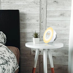 Acheter Cgv CR Aruna