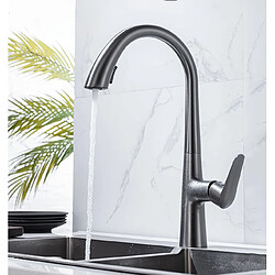 Robinet Cuisine avec Douchette Extensible - Gris