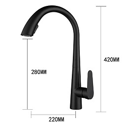 Robinet Douchette Extensible Noir - Générique