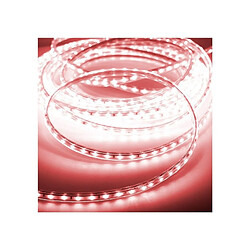 Acheter Edm ruban LED rouge IP44 intérieur/extérieur - 50 m