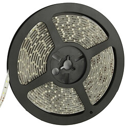 Wewoo Ruban LED Waterproof 3528 - 5 m