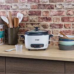 Acheter Russell hobbs 27040-56 - Inox