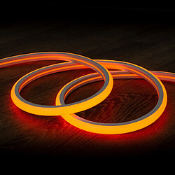 Acheter Ledkia Gaine Néon Orange Dimmable