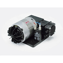 Avis Lavezzini Small 350 mm