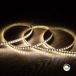 Ledkia Ruban LED CCT 24V DC SMD2835