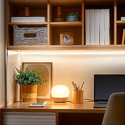 Ledkia Ruban LED 12V DC intérieur - blanc chaud 2700K