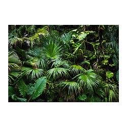 Artgeist Sunny Jungle - 400x280