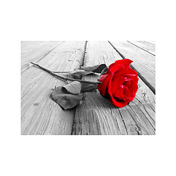 ARTGEIST Abandoned Rose