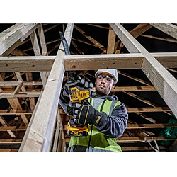 Acheter Dewalt DCS369NT - 18V