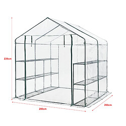 Helloshop26 Serre de jardin en acier et PVC avec étagère s intégrées 200 x 200 x 220 cm 03_0008249