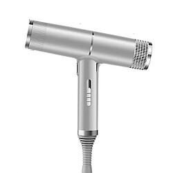 Sèche-cheveux professionnel - 700W