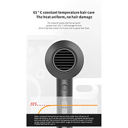 Sèche-cheveux professionnel ionique pas cher