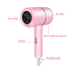 Avis Sèche-cheveux professionnel ionique - Rose