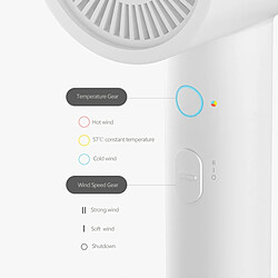 Sèche-cheveux de voyage ionique - Blanc pas cher