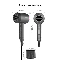 Sèche-cheveux professionnel ionique
