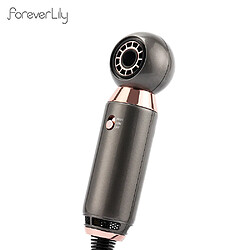 Sèche-cheveux professionnel ionique - Gris