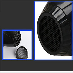 Acheter Sèche-cheveux professionnel ionique - Noir